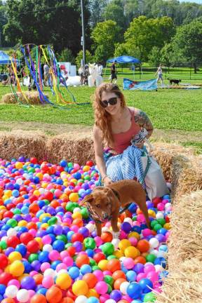 <b>Kathy Redcliffe of Milford, Pa., and Munchkin play in the Giant Ball Pit at the Pupstock Festival on Saturday, Aug. 24 at the Sussex County Fairgrounds. (Photos by Maria Kovic)</b>