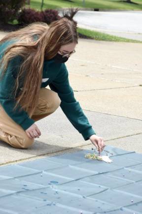 Katie Yates adds wildflowers to her design for the class mural (Photo by Laura J. Marchese)