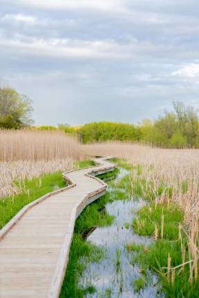 Wawayanda State Park. Photo by Sammie Finch.