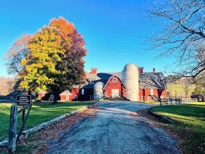 <b>The Lusscroft Farm Main Barn, Bunkhouse Building and Holiday Cottage will all be open for shoppers Sundays, Sept. 22 and 29. (Photo provided)</b>