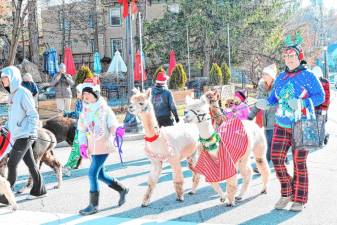 HP1 The Awesome Alpaca Adventurers walk in the Holiday Parade on Saturday, Nov. 30 in Newton. (Photos by Maria Kovic)