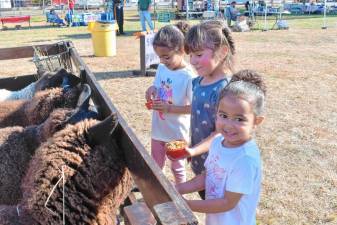 Lily Flores, Samarah Cuevas and Luna Flores, all of Ogdensburg, feed goats at the Fall Fest on Saturday, Oct. 19. (Photos by Maria Kovic)