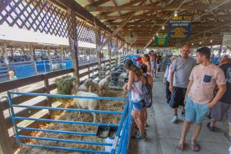 New Jersey State Fair Event Schedule for Friday, Aug. 9