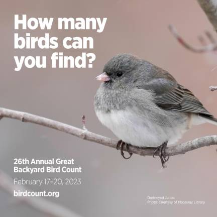 Wallkill River Refuge welcomes bird-counters today