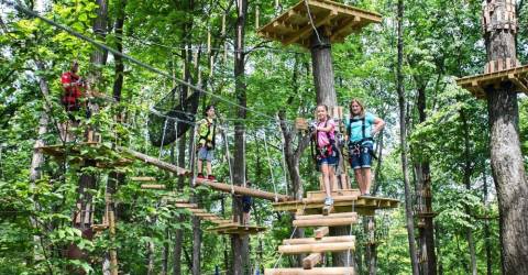 TreEscape Aerial Adventure Park opens