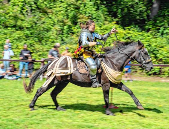 A participant in the jousting contest.