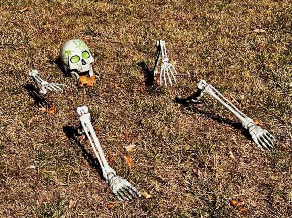 <b>Buried skeletons bust through the yard on Horseshoe Ct. in Goshen, NY. (Photo by Beth Quinn)</b>