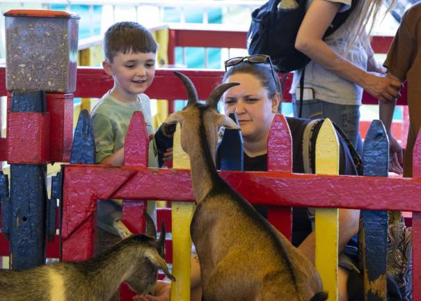 FR27 Carter Yaple, 6, of Little Ferry and his mother, Kelly, feed the goats in the petting zoo. (Photo by John Hester)