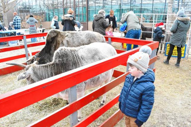 Photos: German Christmas Market of New Jersey