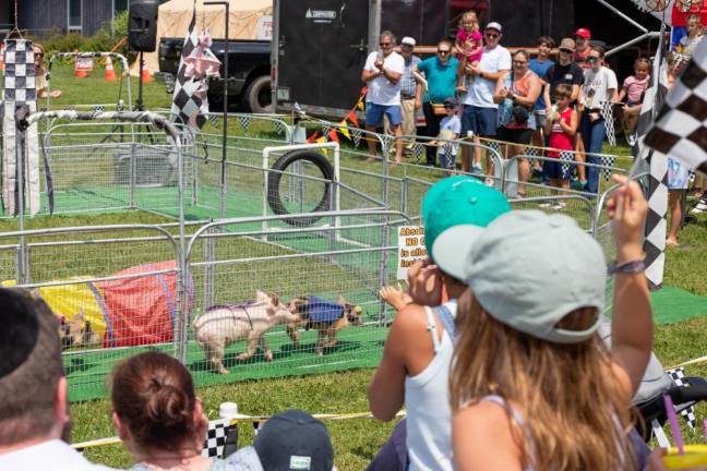 A crowd watches the pig races Sunday, Aug. 6. (Photo by Aja Brandt)