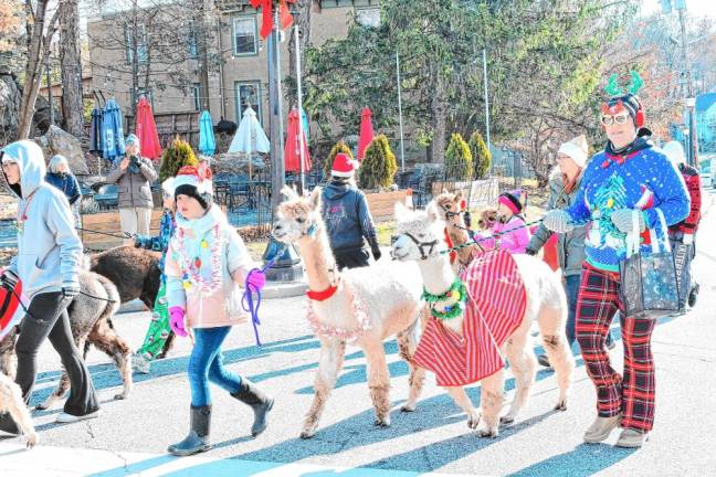 The Awesome Alpaca Adventurers.