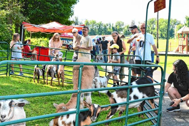 Animals from Jack’s Petting Farm draw a crowd at Hamburg Day 2024. (Photos by Maria Kovic)