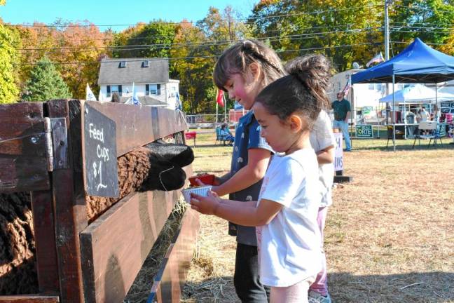 Lily Flores, Samarah Cuevas and Luna Flores, all of Ogdensburg, feed goats at the Fall Fest on Saturday, Oct. 19. (Photos by Maria Kovic)