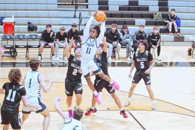 Sparta's Leshem Little grabs the ball during a rebound in the game against Wallkill Valley on Jan. 30. Sparta won, 66-49. (Photos by George Leroy Hunter)