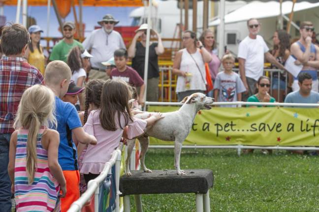 <b>Children line up to pet the dogs after the show.</b>