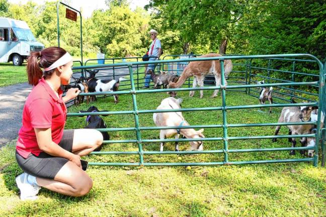 Yesilbert Veras of Paterson watches goats from Jack’s Petting Farm.