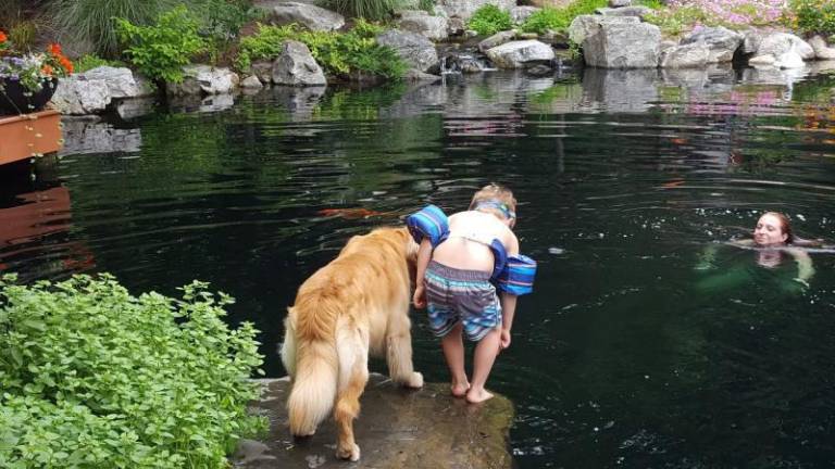 Locals Are Trading Pools for Swimmable Ponds — Here’s Why