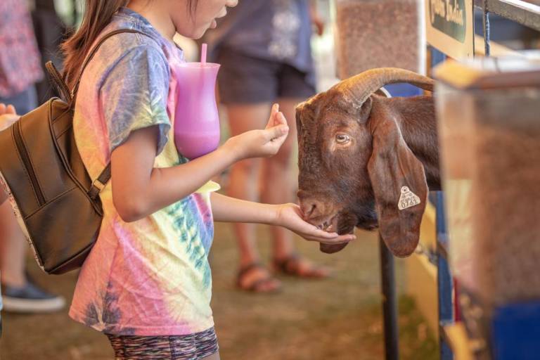 $!Don’t miss these 10 must-see attractions at the New Jersey State Fair