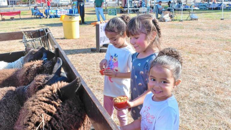 OFF2 Lily Flores, Samarah Cuevas and Luna Flores, all of Ogdensburg, feed goats at the Fall Fest on Saturday, Oct. 19. (Photos by Maria Kovic)