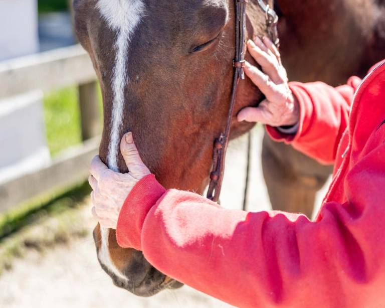 $!Allow your children to play. Everything should be fun. — Martha Dubensky, GAIT Equine Assisted Services, Milford, Pa.